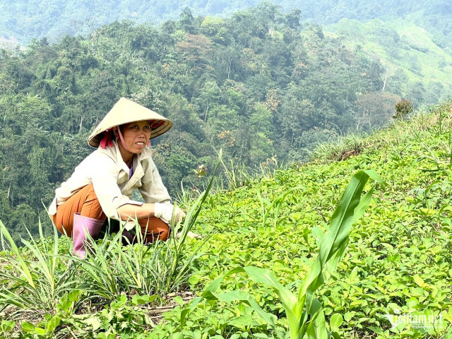 Cần xây dựng luật, pháp lệnh để hoàn thiện cơ sở pháp lý cho công tác dân tộc