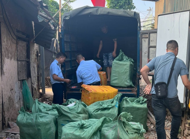 Hà Nội: Tạm giữ gần 800kg trứng gà non, tràng gà đông lạnh không rõ nguồn gốc tại quận Hoàng Mai