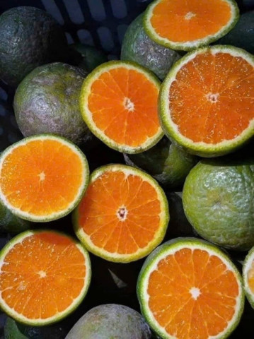 4 nhóm thực phẩm bà bầu bị hạ đường huyết nên ăn