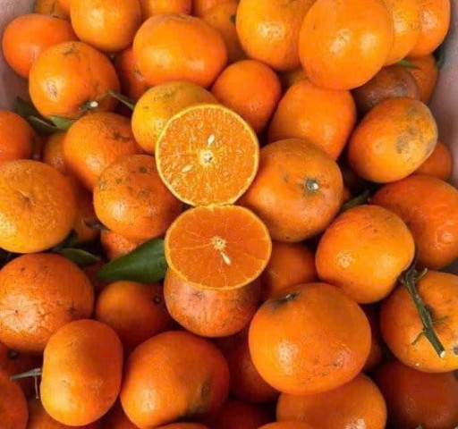Nhóm thực phẩm kết hợp với cá béo hỗ trợ hạ đường huyết