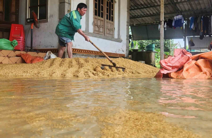 Mưa lũ ở Hà Tĩnh khiến hàng nghìn tấn lúa ngâm trong nước, cơ sở sấy khô quá tải