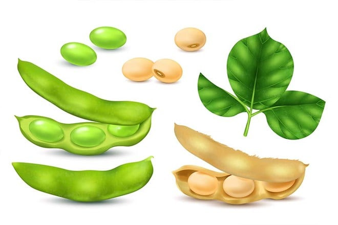Tác hại của việc ăn quá nhiều đậu lăng và rau
