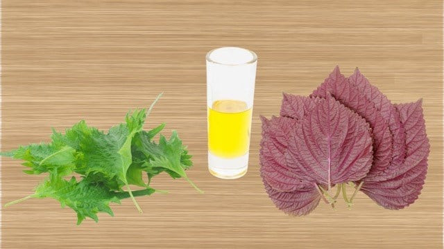 4 lợi ích uống nước lá tía tô, sức khỏe tốt lên sau 1 tuần