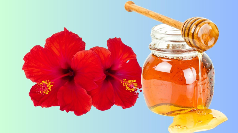 Dưỡng da sáng mịn với mặt nạ hoa dâm bụt và mật ong