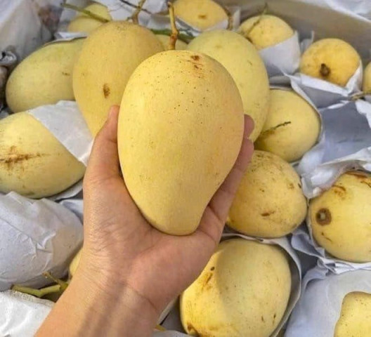 Loại quả ngon ngọt tốt cho người huyết áp cao