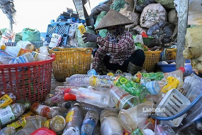 Tham gia bảo vệ môi trường, giảm thiểu rác thải nhựa