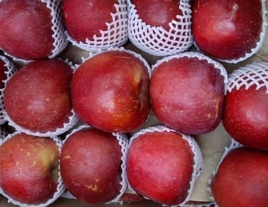 Món ăn vặt buổi chiều giúp hạ axit uric tự nhiên