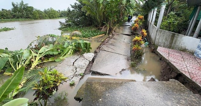 Sạt lở nuốt đê bao, đe dọa cuộc sống người dân ở Vĩnh Long
