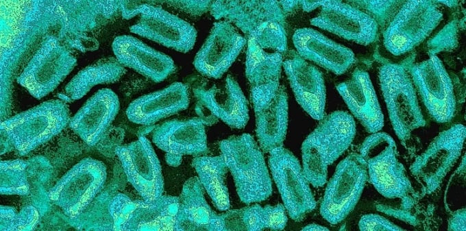 Bé gái 11 tuổi mắc bệnh dại không rõ nguồn lây