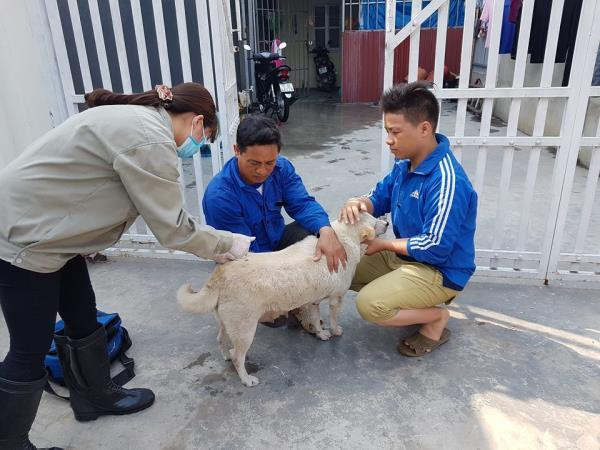 Trung tâm Y tế khu vực Cà Mau khuyến cáo người dân tiêm phòng dại trước khi có triệu chứng