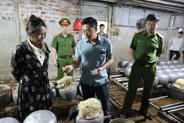 Hà Tĩnh: Phát hiện cơ sở dùng chất cấm để sản xuất gần nửa tấn giá đỗ