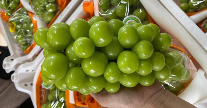 Kiểm soát chặt nguồn gốc xuất xứ trái cây nhập khẩu