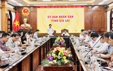 UBND tỉnh Gia Lai họp nghe báo cáo hoạt động doanh nghiệp nhà nước