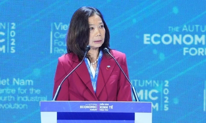 Đại diện Liên hợp quốc khuyến cáo Việt Nam nên dùng AI cảnh báo sớm thiên tai