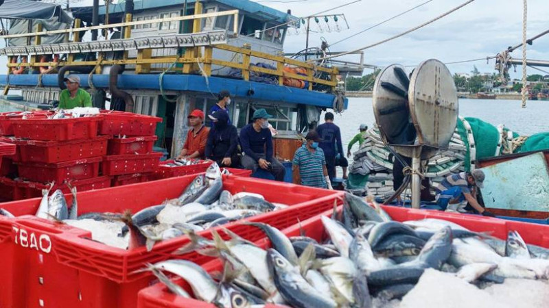 Khánh Hòa tăng cường phương án quyết liệt trong phòng, chống khai thác hải sản bất hợp pháp