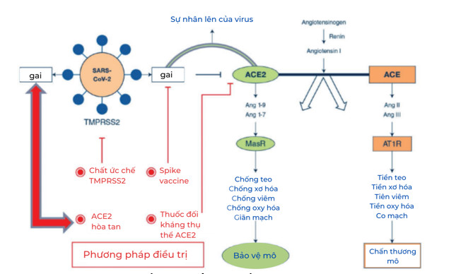 Lieu Phap Oxy Ozone Hinh 1