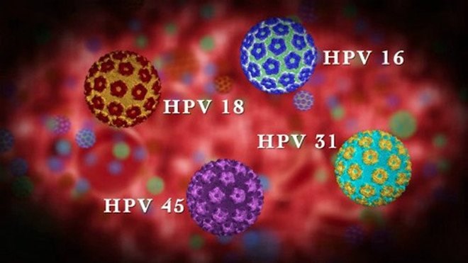 Hpv N